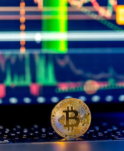 BTC +365 Nivora Informazioni sul Trading